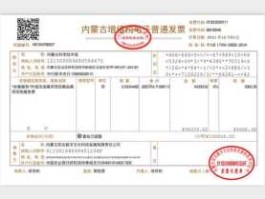 300137，冰淇淋属于什么类目？