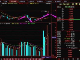 002161股票？远望谷有没有核心技术？