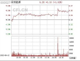 股票000027（潮州深能源公司是国企吗？）
