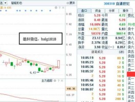 300310，300310属于什么概念？
