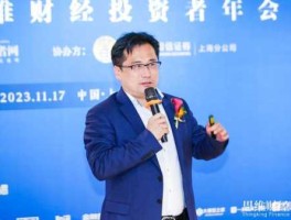投资界（优势资本很牛吗？）