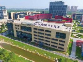 深圳华大？深圳华大海洋科技有限公司怎么样？