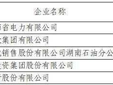 湖南辰州矿业 2021湖南百强企业名单？