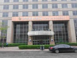 华泰股份有限公司 华泰股份是做什么的？