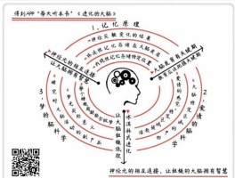 人脑工程 神经科学和神经工程的区别？