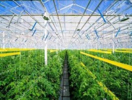 设施农业 设施农业工程是干什么的？