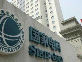 股票000534，国家电网公司是上市公司吗？