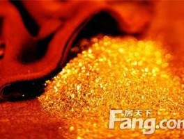 中颐科技？淘金讯是什么软件？