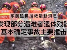 已确认东航坠机上120人身份？东航坠机事故是怎么发生的？