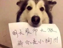 300796（300796这狗股怎么了？）