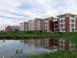 鹏飞物流，广西民族大学相思湖新校区专业？