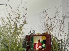 美的，你喜欢美的事物吗？