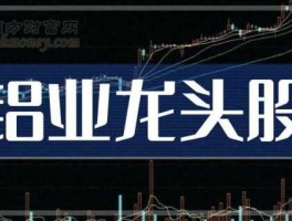 002082股票？铝业龙头股有哪些？
