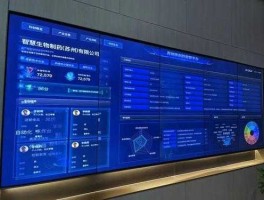 科创信息？科创信息主营业务？