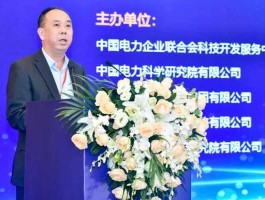 能源局电力司司长（我国目前电力发展情况如？）