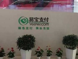 易宝金融 易宝支付有限公司（客户自备金）是什么意思？