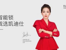 凯迪网络（凯迪仕dk01怎么联网？）