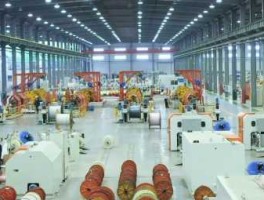 宝胜集团有限公司 扬州员工最多的厂？