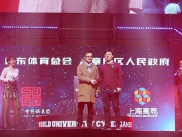 双刃剑体育 体育赛事品牌价值有何不同？