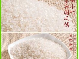 收购东北大米 东北小町米是什么意思？