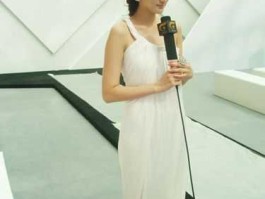 广西卫视 时尚中国 广西卫视时尚中国节目主持人叫什么？