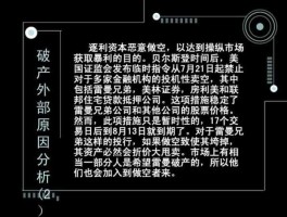 雷曼兄弟破产原因（从内部环境角度分析雷曼兄弟破产的原因_？）