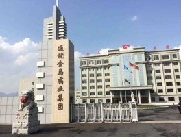 通化金马 通化金马主营业务是什么？