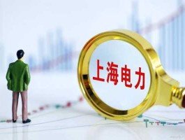 上海电力股票？上海电力股份有限公司介绍？