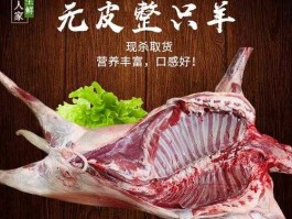 山羊价格（羊肉的价格如何了整只羊的价格多少钱公斤生羊肉的价？）
