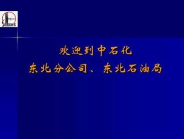 东北石油 东北石油和辽宁石油哪个好？
