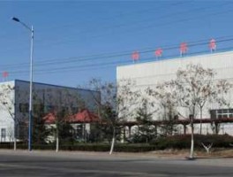 鲁阳股份 山东鲁阳集团是是世界500强吗？