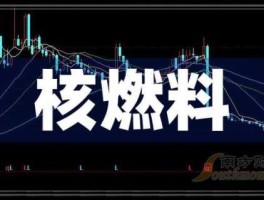 300092（核能源概念股？）