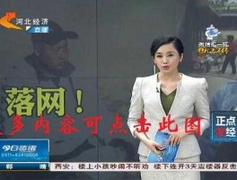 河北经济频道警方报道 河北都市频道主持人？