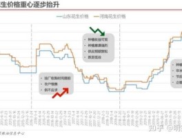 花生期货价格行情？花生期货和什么品种有关？
