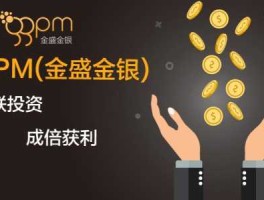 金盛金融（请问有哪位对金盛贵金属外汇比较了解，可以说说吗？）