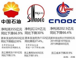 中石油代码？中石油前面的XD是什么意思啊？
