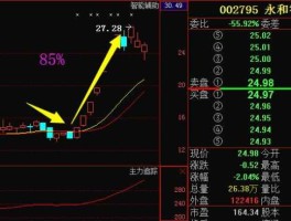 振兴生化股票 吉林傲东这类型的股票有哪几支？