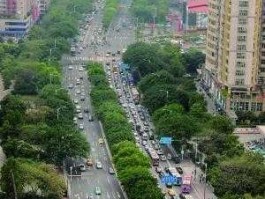 广州大道？海珠区介绍？