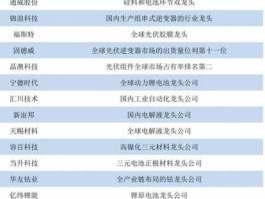 000727资金流向 新能源板块龙头股票有哪些？