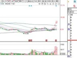 股票600536 欧拉系统真正巨头股票是哪只？