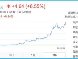 特斯拉股价（特斯拉最高市值？）