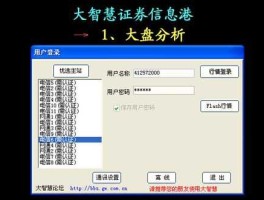 西部证券交易系统（西部证券电脑版怎么调节字体大小？）