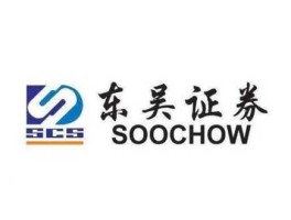 东吴证券 东吴证券是个什么性质机构？