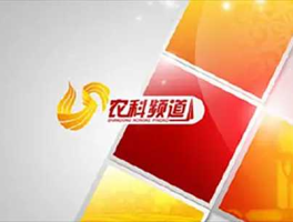 山东农科频道，山东农科频道公众号？