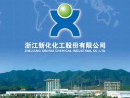 603867 浙江新化化工股份有限公司怎么样？