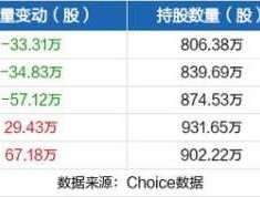 上海贝岭股票（300480芯片龙头股？）