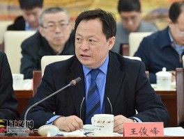 王俊峰 王俊峰是谁？