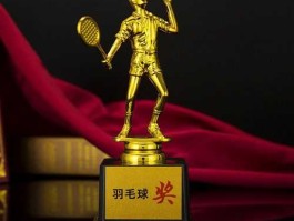 180区间，帮忙想下羽毛球比赛奖品？