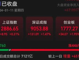 002065股票 欧拉系统真正巨头股票是哪只？