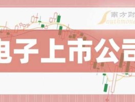 000045 000045是半导体行业吗？